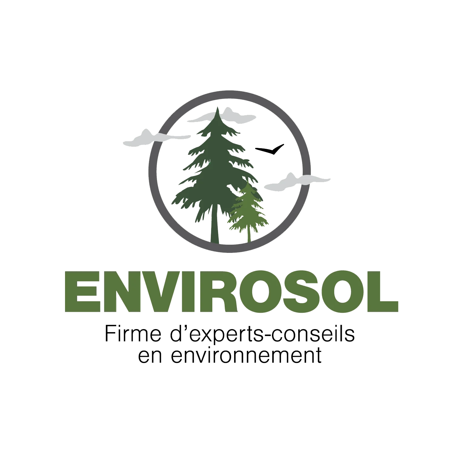 Envirosol